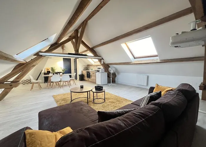 L Armurerie - Appartement Centre Ville De Sens
