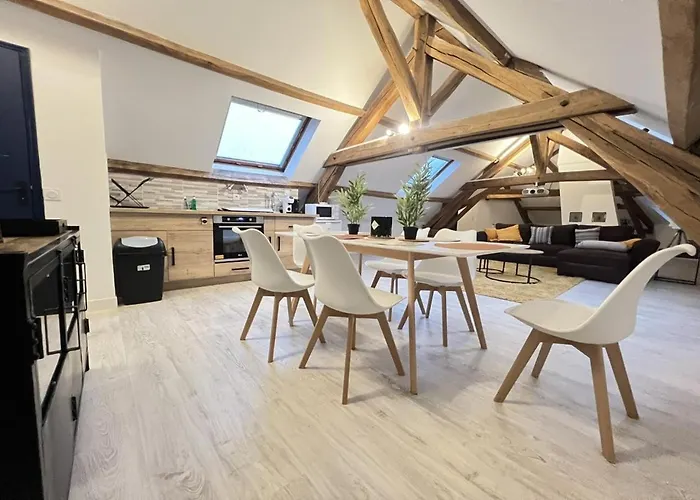 L Armurerie - Appartement Centre Ville De Sens